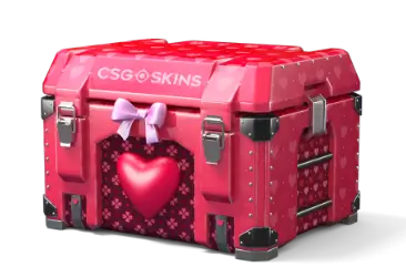LOVELY CASE