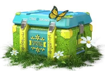 SPRING CASE