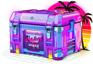 VAPORWAVE CASE