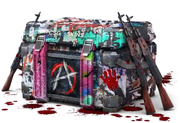 ANARCHY CASE