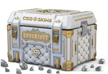 LUXURIOUS CASE