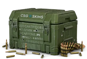 AMMO CASE